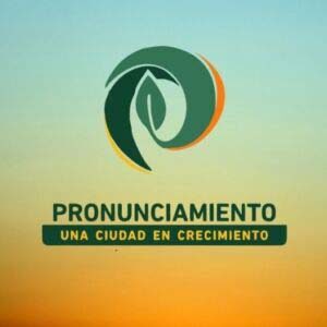 Parque Industrial Pronunciamiento